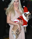 Filename=gaga_2816329.jpg
Filesize=1469KiB
Dimensions=3428x5093
Date added=Dec 12, 2015 gaga_2816329.jpg