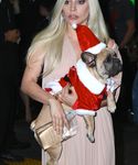 Filename=gaga_2816429.jpg
Filesize=1488KiB
Dimensions=3298x5278
Date added=Dec 12, 2015 gaga_2816429.jpg