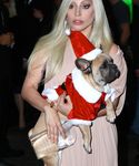 Filename=gaga_2816529.jpg
Filesize=1366KiB
Dimensions=3205x5027
Date added=Dec 12, 2015 gaga_2816529.jpg