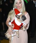 Filename=gaga_2816629.jpg
Filesize=1114KiB
Dimensions=3613x5175
Date added=Dec 12, 2015 gaga_2816629.jpg