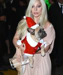 Filename=gaga_2816729.jpg
Filesize=1077KiB
Dimensions=3615x5212
Date added=Dec 12, 2015 gaga_2816729.jpg