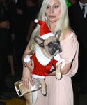 Filename=gaga_2816829.jpg
Filesize=1233KiB
Dimensions=3550x5220
Date added=Dec 12, 2015 gaga_2816829.jpg