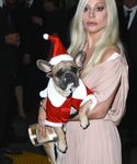 Filename=gaga_2816929.jpg
Filesize=1682KiB
Dimensions=3598x5417
Date added=Dec 12, 2015 gaga_2816929.jpg
