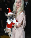 Filename=gaga_2817029.jpg
Filesize=1142KiB
Dimensions=3648x5472
Date added=Dec 12, 2015 gaga_2817029.jpg