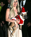 Filename=gaga_281729.JPG
Filesize=1091KiB
Dimensions=2100x3043
Date added=Dec 12, 2015 gaga_281729.JPG