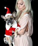 Filename=gaga_2817329.jpg
Filesize=908KiB
Dimensions=3126x4950
Date added=Dec 12, 2015 gaga_2817329.jpg