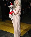 Filename=gaga_2817429.jpg
Filesize=1444KiB
Dimensions=3419x5139
Date added=Dec 12, 2015 gaga_2817429.jpg