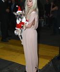 Filename=gaga_2817529.jpg
Filesize=1414KiB
Dimensions=3467x5103
Date added=Dec 12, 2015 gaga_2817529.jpg