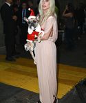 Filename=gaga_2817729.jpg
Filesize=1509KiB
Dimensions=3489x5094
Date added=Dec 12, 2015 gaga_2817729.jpg
