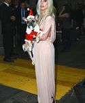 Filename=gaga_2817829.jpg
Filesize=1560KiB
Dimensions=3427x5119
Date added=Dec 12, 2015 gaga_2817829.jpg