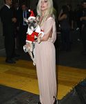 Filename=gaga_2817929.jpg
Filesize=1448KiB
Dimensions=3491x5102
Date added=Dec 12, 2015 gaga_2817929.jpg