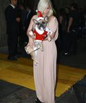 Filename=gaga_2818129.jpg
Filesize=1449KiB
Dimensions=3648x5037
Date added=Dec 12, 2015 gaga_2818129.jpg