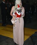 Filename=gaga_2818329.jpg
Filesize=1407KiB
Dimensions=3648x4969
Date added=Dec 12, 2015 gaga_2818329.jpg