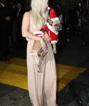 Filename=gaga_2818529.jpg
Filesize=1535KiB
Dimensions=3648x5385
Date added=Dec 12, 2015 gaga_2818529.jpg