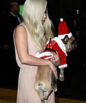 Filename=gaga_2818629.jpg
Filesize=1507KiB
Dimensions=3648x5139
Date added=Dec 12, 2015 gaga_2818629.jpg