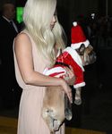 Filename=gaga_2818729.jpg
Filesize=1462KiB
Dimensions=3648x5232
Date added=Dec 12, 2015 gaga_2818729.jpg