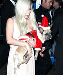 Filename=gaga_281929.JPG
Filesize=1002KiB
Dimensions=2100x3118
Date added=Dec 12, 2015 gaga_281929.JPG