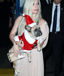 Filename=gaga_282029.JPG
Filesize=1022KiB
Dimensions=2100x3016
Date added=Dec 12, 2015 gaga_282029.JPG