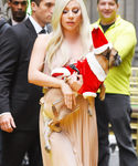 gaga_2820629.jpg