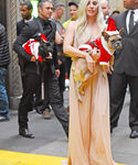 gaga_2821129.jpg