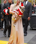 gaga_2821229.jpg