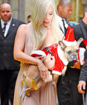 gaga_2821729.jpg