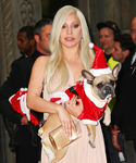 gaga_2822129.jpg