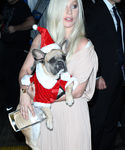 Filename=gaga_282229.JPG
Filesize=1080KiB
Dimensions=2100x3046
Date added=Dec 12, 2015 gaga_282229.JPG