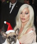 Filename=gaga_28229.jpg
Filesize=1281KiB
Dimensions=2760x3564
Date added=Dec 12, 2015 gaga_28229.jpg