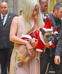 Filename=gaga_282829.jpg
Filesize=1297KiB
Dimensions=2395x3600
Date added=Dec 12, 2015 gaga_282829.jpg