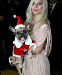Filename=gaga_283129.jpg
Filesize=493KiB
Dimensions=2126x3190
Date added=Dec 12, 2015 gaga_283129.jpg