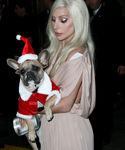 Filename=gaga_283229.jpg
Filesize=522KiB
Dimensions=2126x3190
Date added=Dec 12, 2015 gaga_283229.jpg