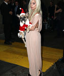 Filename=gaga_283329.jpg
Filesize=692KiB
Dimensions=2126x3190
Date added=Dec 12, 2015 gaga_283329.jpg