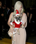 Filename=gaga_283629.jpg
Filesize=659KiB
Dimensions=2409x3190
Date added=Dec 12, 2015 gaga_283629.jpg