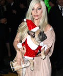 Filename=gaga_283729.jpg
Filesize=540KiB
Dimensions=2126x3190
Date added=Dec 12, 2015 gaga_283729.jpg