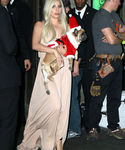 Filename=gaga_283929.jpg
Filesize=716KiB
Dimensions=2066x3190
Date added=Dec 12, 2015 gaga_283929.jpg