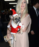 Filename=gaga_284029.jpg
Filesize=573KiB
Dimensions=2126x3190
Date added=Dec 12, 2015 gaga_284029.jpg