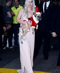 Filename=gaga_284129.jpg
Filesize=806KiB
Dimensions=2126x3190
Date added=Dec 12, 2015 gaga_284129.jpg