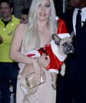 Filename=gaga_284229.jpg
Filesize=746KiB
Dimensions=2126x3190
Date added=Dec 12, 2015 gaga_284229.jpg