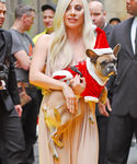 Filename=gaga_28429.jpg
Filesize=1092KiB
Dimensions=2395x3600
Date added=Dec 12, 2015 gaga_28429.jpg