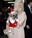 Filename=gaga_284329.jpg
Filesize=672KiB
Dimensions=2126x3190
Date added=Dec 12, 2015 gaga_284329.jpg