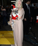 Filename=gaga_284429.jpg
Filesize=595KiB
Dimensions=2126x3190
Date added=Dec 12, 2015 gaga_284429.jpg