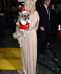 Filename=gaga_284529.jpg
Filesize=629KiB
Dimensions=2126x3190
Date added=Dec 12, 2015 gaga_284529.jpg