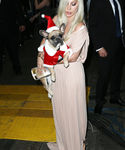 Filename=gaga_285029.jpg
Filesize=945KiB
Dimensions=2182x3273
Date added=Dec 12, 2015 gaga_285029.jpg