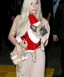 gaga_285229.jpg