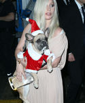 Filename=gaga_28529.jpg
Filesize=1401KiB
Dimensions=3017x4496
Date added=Dec 12, 2015 gaga_28529.jpg