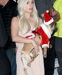 gaga_285329.jpg