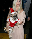 gaga_285429.jpg