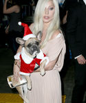 gaga_285529.jpg