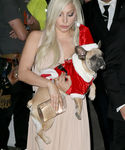 gaga_285629.jpg